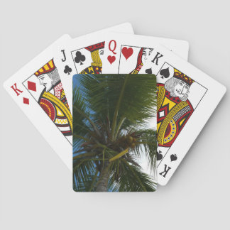 Looking Up to Coconut Palm Tree Tropical Nature Poker Cards