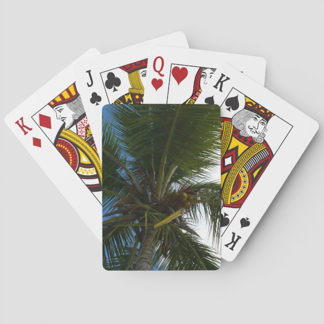 Looking Up to Coconut Palm Tree Tropical Nature Poker Cards (Back)