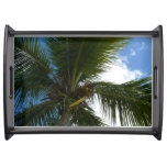 Looking Up to Coconut Palm Tree Tropical Nature Serving Tray
