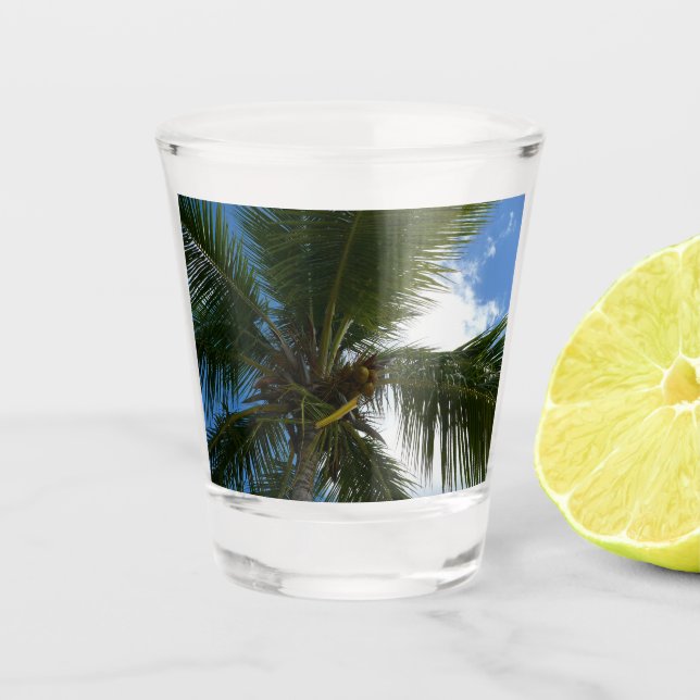 Looking Up to Coconut Palm Tree Tropical Nature Shot Glass (Front)