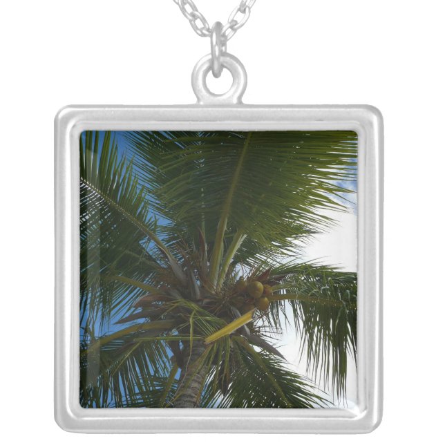 Looking Up to Coconut Palm Tree Tropical Nature Silver Plated Necklace (Front)