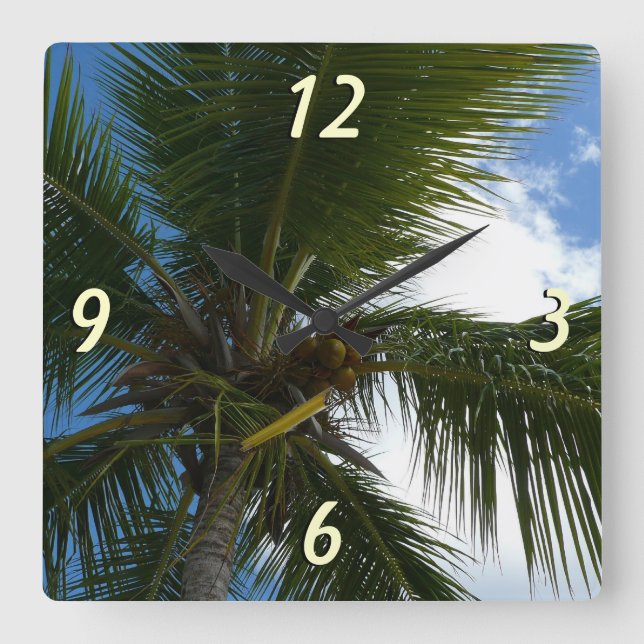 Looking Up to Coconut Palm Tree Tropical Nature Square Wall Clock (Front)