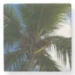 Looking Up to Coconut Palm Tree Tropical Nature Stone Coaster