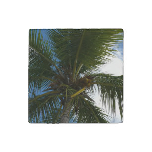 Looking Up to Coconut Palm Tree Tropical Nature Stone Magnet