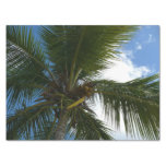 Looking Up to Coconut Palm Tree Tropical Nature Tissue Paper