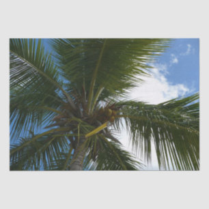 Looking Up to Coconut Palm Tree Tropical Nature Tissue Paper