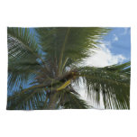 Looking Up to Coconut Palm Tree Tropical Nature Towel