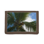 Looking Up to Coconut Palm Tree Tropical Nature Trifold Wallet