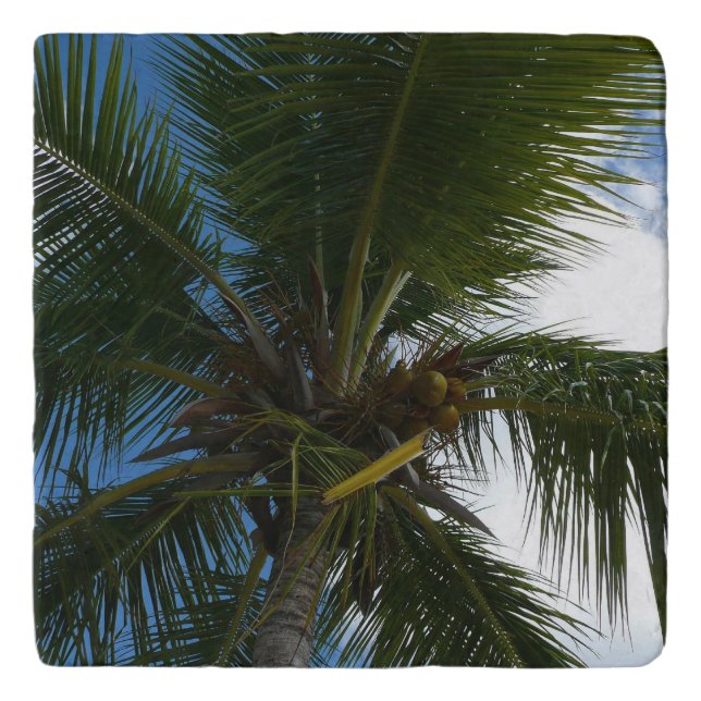 Looking Up to Coconut Palm Tree Tropical Nature Trivet (Front)