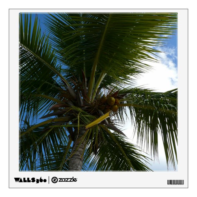 Looking Up to Coconut Palm Tree Tropical Nature Wall Sticker (Front)