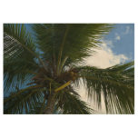 Looking Up to Coconut Palm Tree Tropical Nature Wood Poster