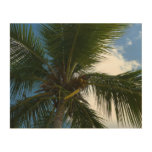 Looking Up to Coconut Palm Tree Tropical Nature Wood Wall Decor