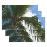 Looking Up to Coconut Palm Tree Tropical Nature Wrapping Paper Sheets