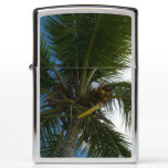 Looking Up to Coconut Palm Tree Tropical Nature Zippo Lighter