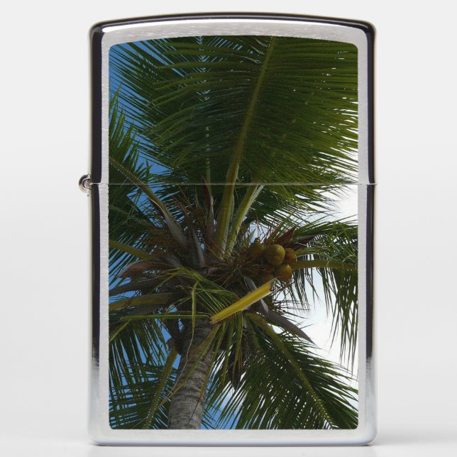 Looking Up to Coconut Palm Tree Tropical Nature Zippo Lighter (Front)