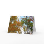 Looking Up to Fall Leaves I Colorful Fall Foliage Card