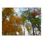 Looking Up to Fall Leaves I Colorful Fall Foliage Cards