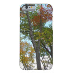Looking Up to Fall Leaves I Colorful Fall Foliage Barely There iPhone 6 Case