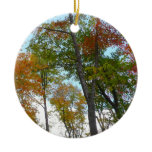Looking Up to Fall Leaves I Colorful Fall Foliage Ceramic Ornament