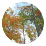 Looking Up to Fall Leaves I Colorful Fall Foliage Classic Round Sticker