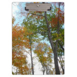 Looking Up to Fall Leaves I Colorful Fall Foliage Clipboard
