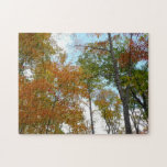 Looking Up to Fall Leaves I Colorful Fall Foliage Jigsaw Puzzle