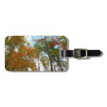 Looking Up to Fall Leaves I Colorful Fall Foliage Luggage Tag