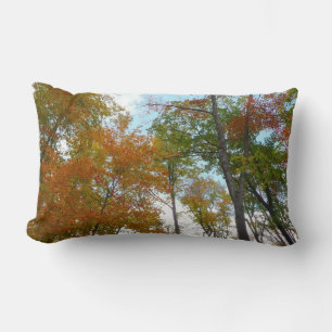 Looking Up to Fall Leaves I Colorful Fall Foliage Lumbar Pillow