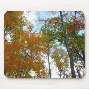 Looking Up to Fall Leaves I Colorful Fall Foliage Mouse Pad