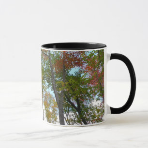 Looking Up to Fall Leaves I Colorful Fall Foliage Mug