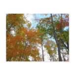 Looking Up to Fall Leaves I Colorful Fall Foliage Postcard