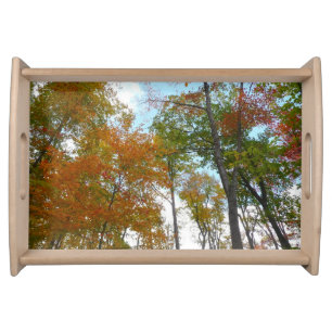 Looking Up to Fall Leaves I Colorful Fall Foliage Serving Tray
