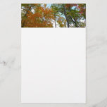 Looking Up to Fall Leaves I Colorful Fall Foliage Stationery