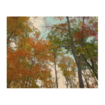 Looking Up to Fall Leaves I Colorful Fall Foliage Wood Wall Decor