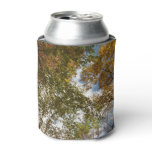 Looking Up to Fall Leaves II Autumn Nature Can Cooler