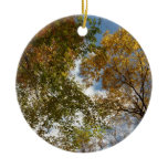 Looking Up to Fall Leaves II Autumn Nature Ceramic Ornament