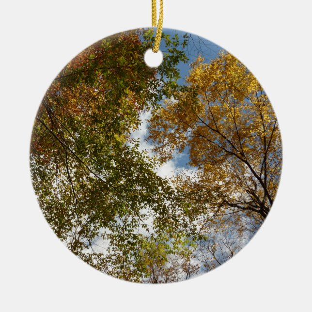 Looking Up to Fall Leaves II Autumn Nature Ceramic Ornament (Front)