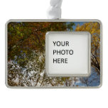 Looking Up to Fall Leaves II Autumn Nature Christmas Ornament