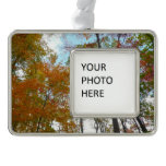 Looking Up to Fall Leaves II Autumn Nature Christmas Ornament