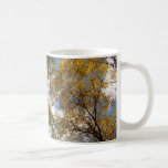 Looking Up to Fall Leaves II Autumn Nature Coffee Mug