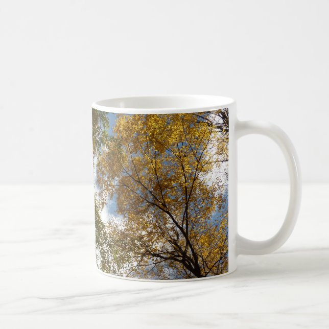 Looking Up to Fall Leaves II Autumn Nature Coffee Mug (Right)