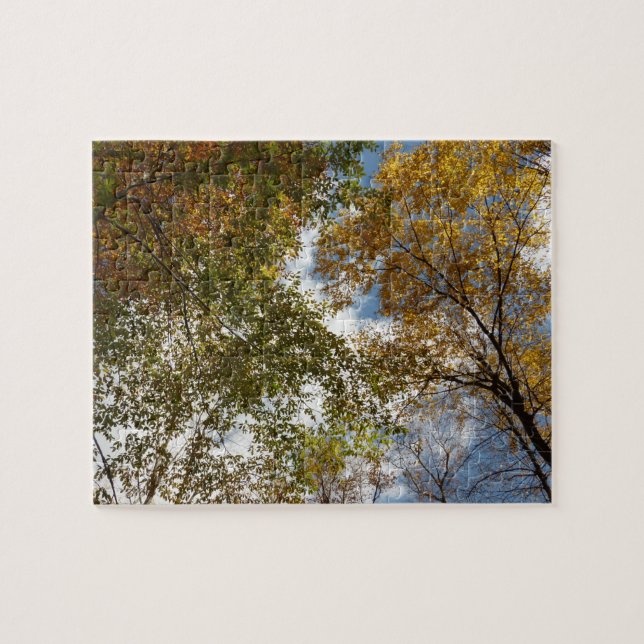 Looking Up to Fall Leaves II Autumn Nature Jigsaw Puzzle (Horizontal)