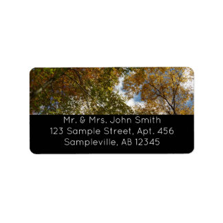Looking Up to Fall Leaves II Autumn Nature Label