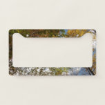 Looking Up to Fall Leaves II Autumn Nature License Plate Frame