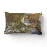 Looking Up to Fall Leaves II Autumn Nature Lumbar Pillow