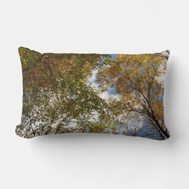 Looking Up to Fall Leaves II Autumn Nature Lumbar Pillow (Front)