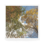 Looking Up to Fall Leaves II Autumn Nature Napkins