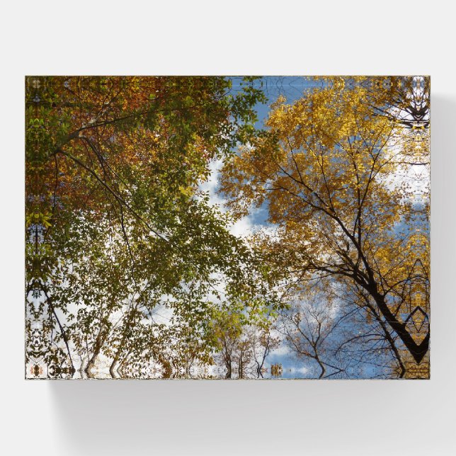 Looking Up to Fall Leaves II Autumn Nature Paperweight (Front)