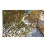 Looking Up to Fall Leaves II Autumn Nature Placemat