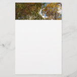 Looking Up to Fall Leaves II Autumn Nature Stationery
